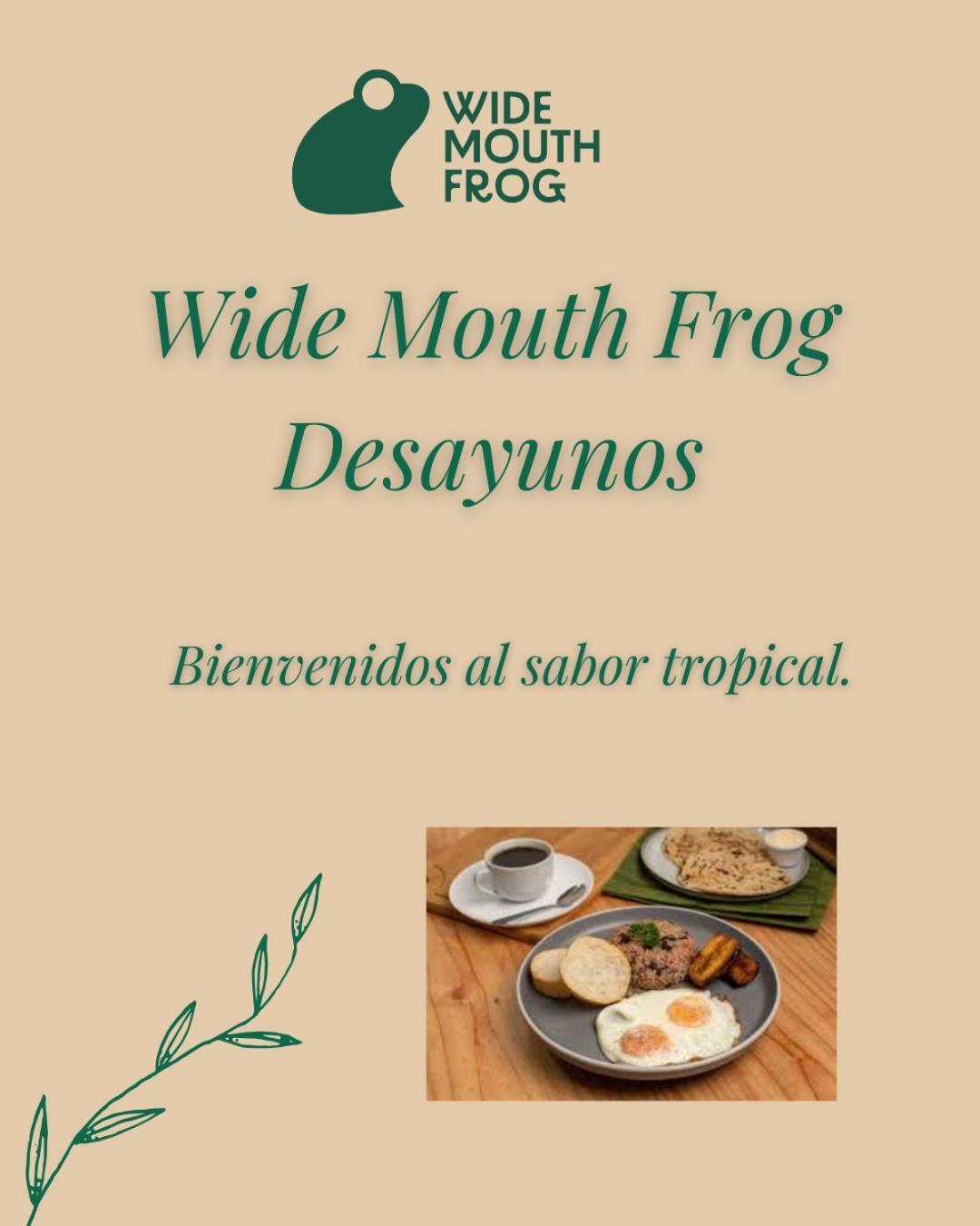 마누엘안토니오 Wide Mouth Frog Quepos 호스텔 외부 사진